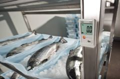 Testo 174 T - Mini Sıcaklık Dataloggerı