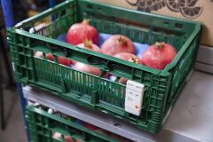 Testo 184 T1 - Nakliye izleme için sıcaklık dataloggerı